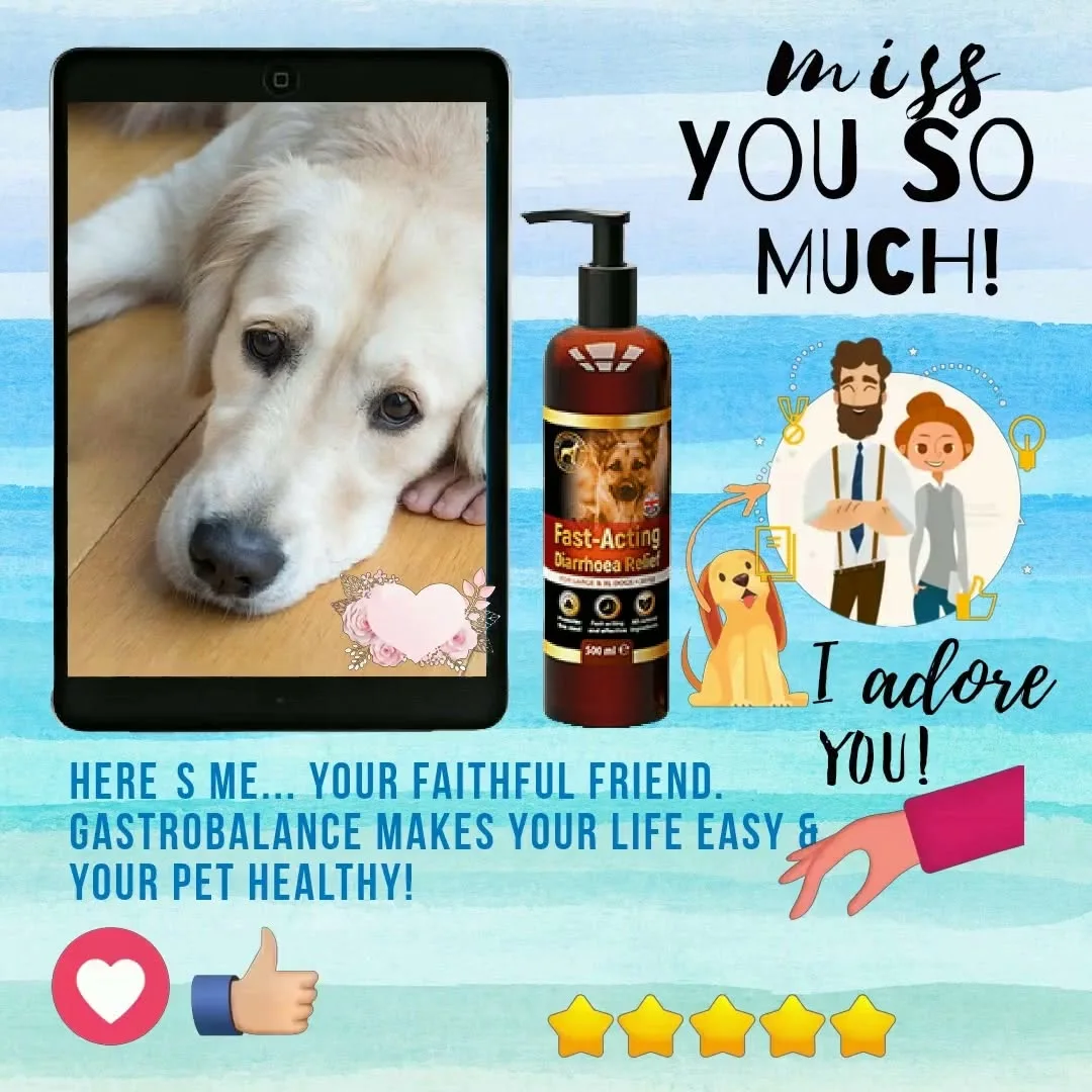 Customer testimonial