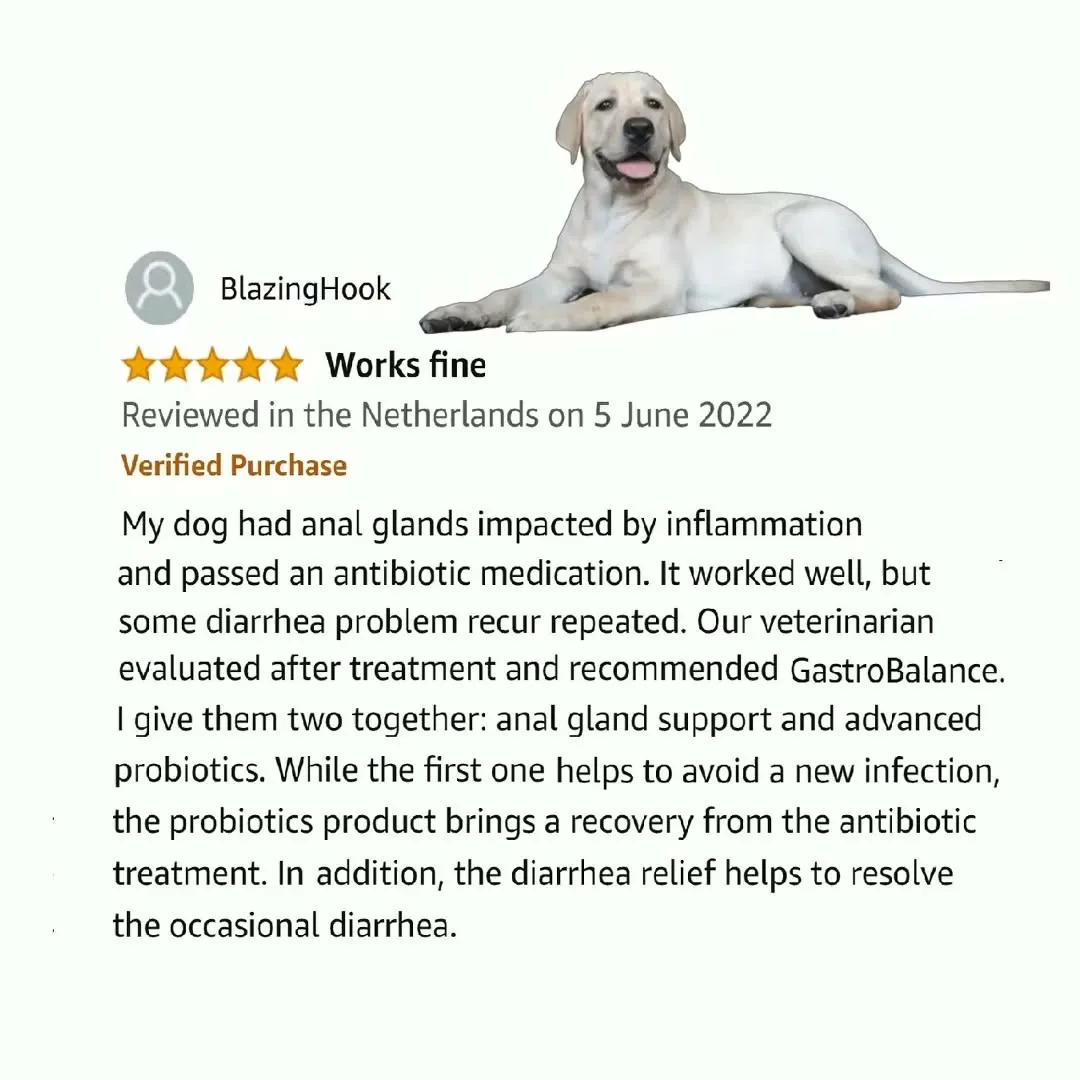 Customer testimonial